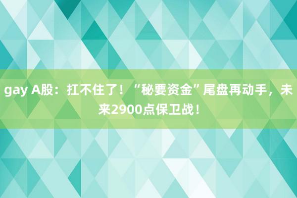 gay A股：扛不住了！“秘要资金”尾盘再动手，未来2900点保卫战！