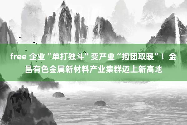 free 企业“单打独斗”变产业“抱团取暖”！金昌有色金属新材料产业集群迈上新高地