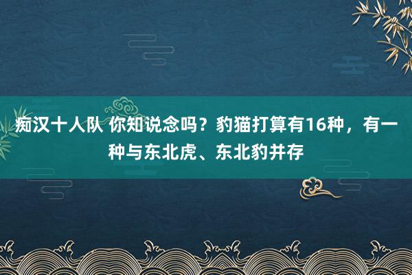 痴汉十人队 你知说念吗？豹猫打算有16种，有一种与东北虎、东北豹并存