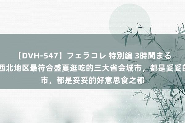 【DVH-547】フェラコレ 特別編 3時間まるごとWフェラ 西北地区最符合盛夏逛吃的三大省会城市，都是妥妥的好意思食之都