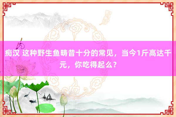 痴汉 这种野生鱼畴昔十分的常见，当今1斤高达千元，你吃得起么？