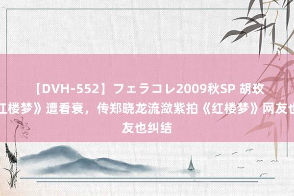 【DVH-552】フェラコレ2009秋SP 胡玫版《红楼梦》遭看衰，传郑晓龙流潋紫拍《红楼梦》网友也纠结