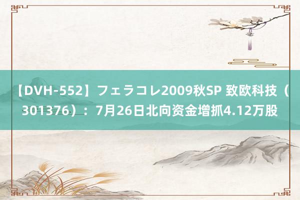 【DVH-552】フェラコレ2009秋SP 致欧科技（301376）：7月26日北向资金增抓4.12万股