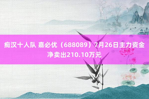 痴汉十人队 嘉必优（688089）7月26日主力资金净卖出210.10万元