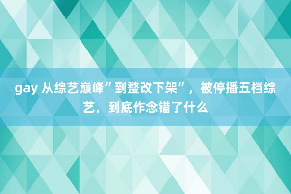 gay 从综艺巅峰”到整改下架”，被停播五档综艺，到底作念错了什么