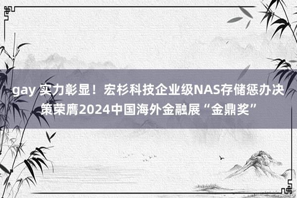 gay 实力彰显！宏杉科技企业级NAS存储惩办决策荣膺2024中国海外金融展“金鼎奖”