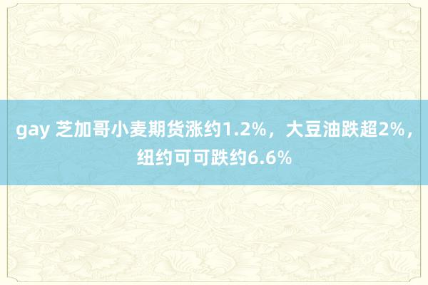 gay 芝加哥小麦期货涨约1.2%，大豆油跌超2%，纽约可可跌约6.6%