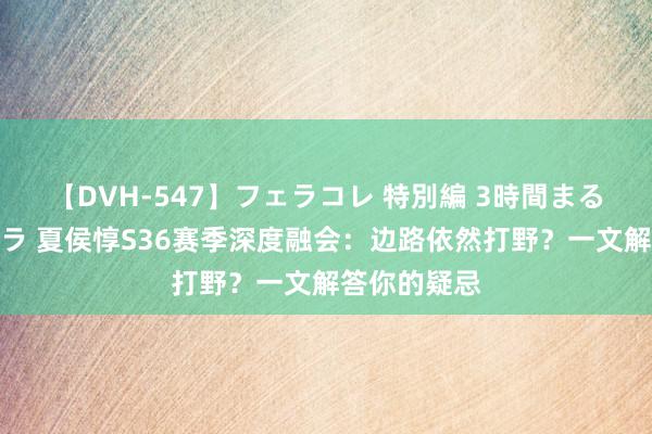 【DVH-547】フェラコレ 特別編 3時間まるごとWフェラ 夏侯惇S36赛季深度融会：边路依然打野？一文解答你的疑忌