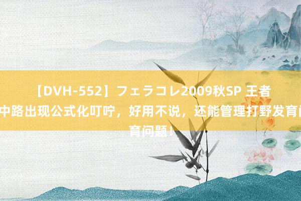 【DVH-552】フェラコレ2009秋SP 王者荣耀中路出现公式化叮咛，好用不说，还能管理打野发育问题！