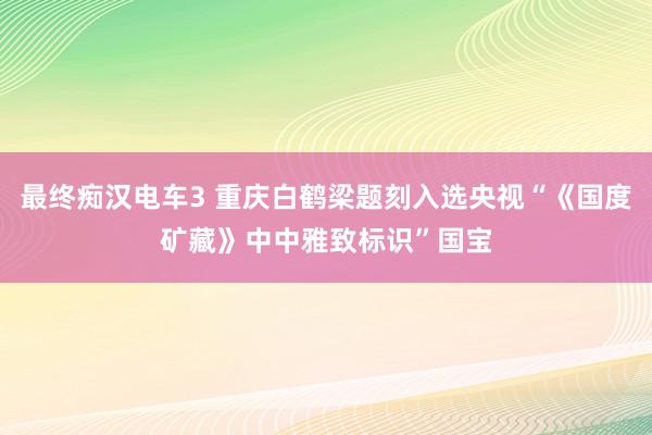 最终痴汉电车3 重庆白鹤梁题刻入选央视“《国度矿藏》中中雅致标识”国宝