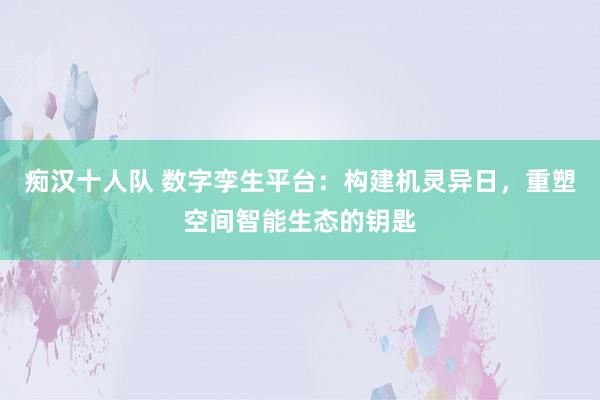 痴汉十人队 数字孪生平台：构建机灵异日，重塑空间智能生态的钥匙