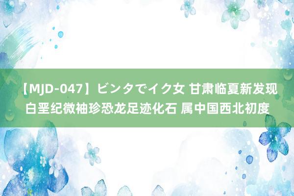 【MJD-047】ビンタでイク女 甘肃临夏新发现白垩纪微袖珍恐龙足迹化石 属中国西北初度