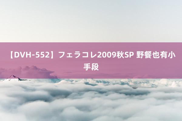 【DVH-552】フェラコレ2009秋SP 野餐也有小手段