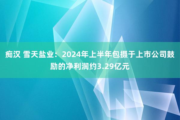 痴汉 雪天盐业：2024年上半年包摄于上市公司鼓励的净利润约3.29亿元