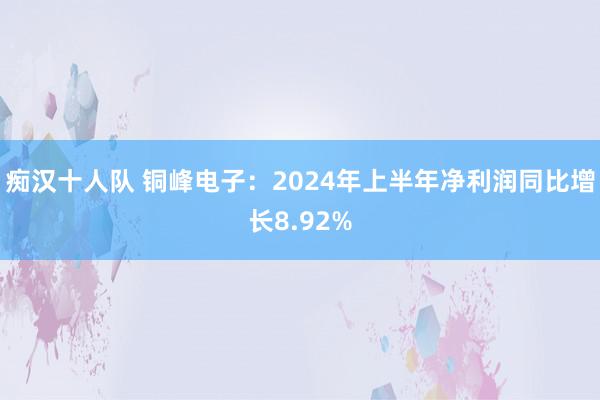 痴汉十人队 铜峰电子：2024年上半年净利润同比增长8.92%