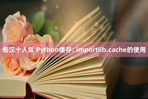 痴汉十人队 Python缓存: importlib.cache的使用