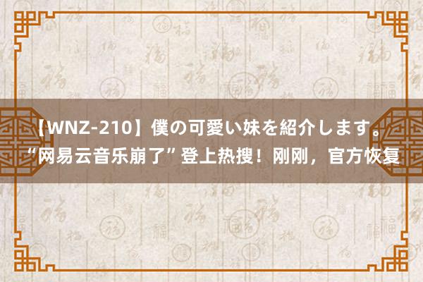 【WNZ-210】僕の可愛い妹を紹介します。 “网易云音乐崩了”登上热搜！刚刚，官方恢复