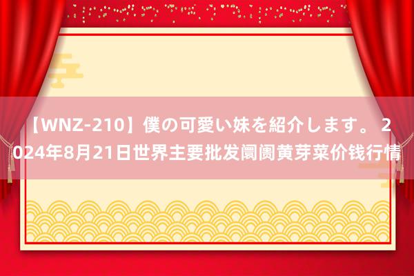 【WNZ-210】僕の可愛い妹を紹介します。 2024年8月21日世界主要批发阛阓黄芽菜价钱行情