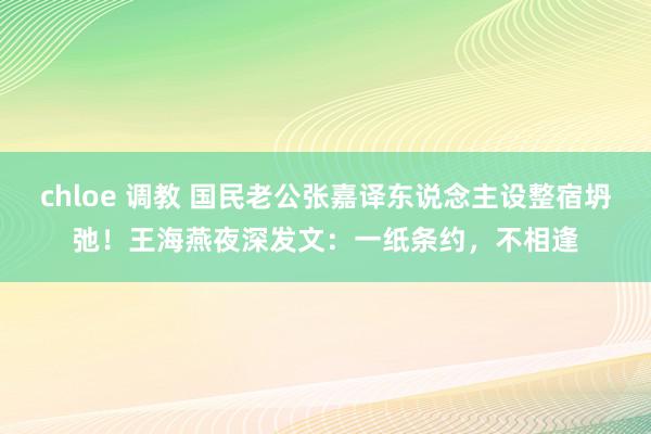 chloe 调教 国民老公张嘉译东说念主设整宿坍弛！王海燕夜深发文：一纸条约，不相逢