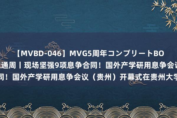 【MVBD-046】MVG5周年コンプリートBOX ゴールド 聚焦2024疏通周丨现场坚强9项息争合同！国外产学研用息争会议（贵州）开幕式在贵州大学举行