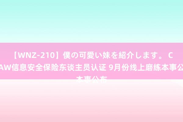 【WNZ-210】僕の可愛い妹を紹介します。 CISAW信息安全保险东谈主员认证 9月份线上磨练本事公布