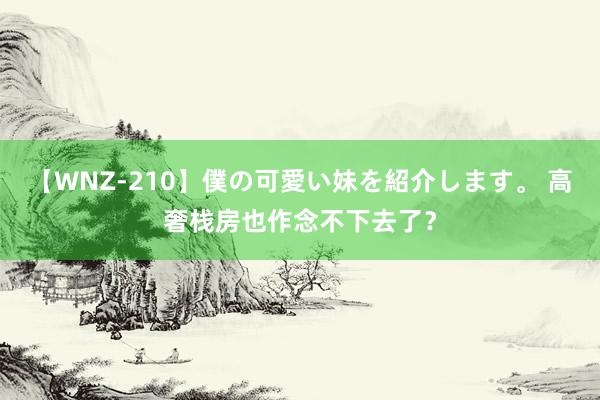 【WNZ-210】僕の可愛い妹を紹介します。 高奢栈房也作念不下去了？