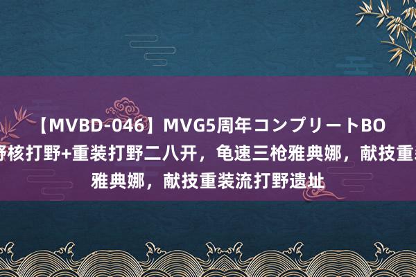 【MVBD-046】MVG5周年コンプリートBOX ゴールド 野核打野+重装打野二八开，龟速三枪雅典娜，献技重装流打野遗址