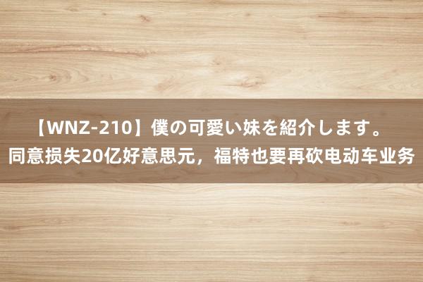 【WNZ-210】僕の可愛い妹を紹介します。 同意损失20亿好意思元，福特也要再砍电动车业务