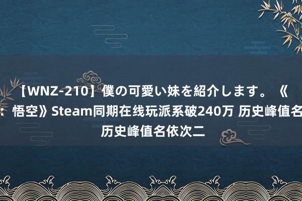 【WNZ-210】僕の可愛い妹を紹介します。 《黑传闻：悟空》Steam同期在线玩派系破240万 历史峰值名依次二