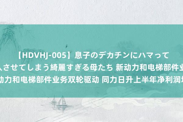 【HDVHJ-005】息子のデカチンにハマってしまい毎日のように挿入させてしまう綺麗すぎる母たち 新动力和电梯部件业务双轮驱动 同力日升上半年净利润增超65%