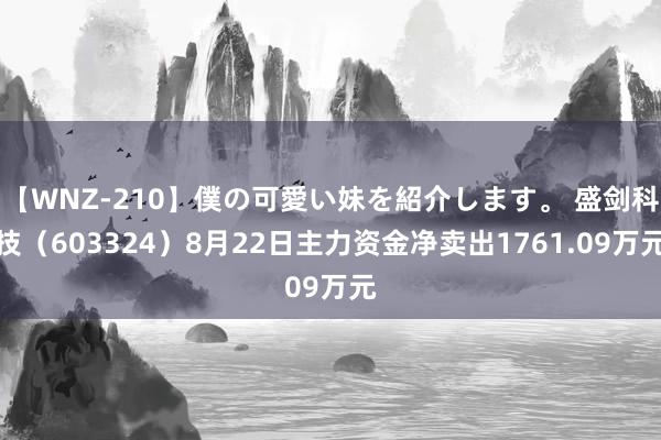 【WNZ-210】僕の可愛い妹を紹介します。 盛剑科技（603324）8月22日主力资金净卖出1761.09万元