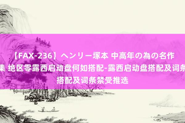 【FAX-236】ヘンリー塚本 中高年の為の名作裏ビデオ集 绝区零露西启动盘何如搭配-露西启动盘搭配及词条禁受推选