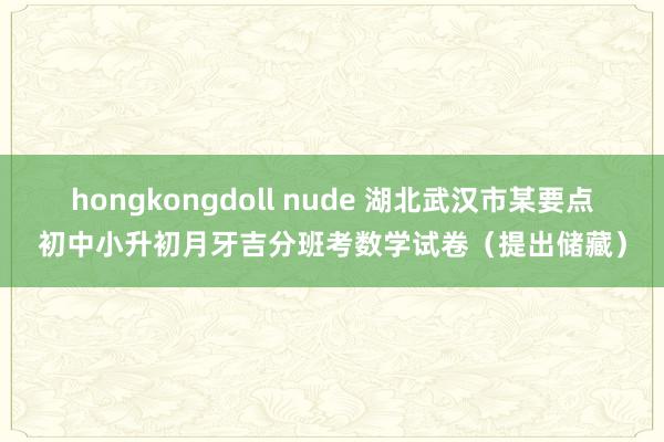 hongkongdoll nude 湖北武汉市某要点初中小升初月牙吉分班考数学试卷（提出储藏）