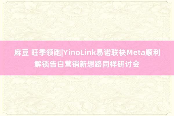 麻豆 旺季领跑|YinoLink易诺联袂Meta顺利解锁告白营销新想路同样研讨会